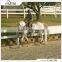 UV Resistant Vinyl Plastic PVC Horse Fence