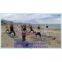 Yoga Classes on the Beach (EVA-S-1005)