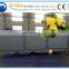 professional supply cashew nut processing machine/cashew nut processing