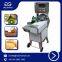 Automatic Vegetable  Shredder Cutting Machine Commercial Inverter Vegetable Cutter