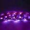 Tape led light flexibility led strip LC8808 30 LEDS per meter DC12V full color