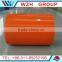 Coloring Sheets/ PPGI Steel Coil / Prepainted Galvanized Steel Sheet