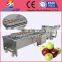 2010 hot sell high cleaning ability air bubble cabbage cleaning/washing machine price