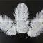 6"-8" 15cm-20cm DIY Many Plume Colored Ostrich Feather For Sale