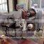 Shanghai supplier hot sale High Quality Mink and Mint Candy Packing Machine/0086--13761232185
