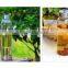 High Borosilicate Glass Water Bottle with customized Unique neoprene Sleeve