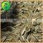Sunflower Seeds Chinese Vegetable Seeds