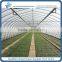 PE Film Horticultural Greenhouse Tunnel