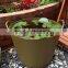 plastic bucket,PE garden tools buckets,plastic shopping basket,REACH