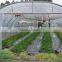 Greenhouses Weed moisture barrier film