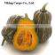 FRESH JAPANESE PUMPKIN