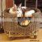 Pet House - website: Ms.RICO.VietStyle