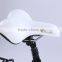 Mtb 29 inch Electric bicycle (Model CTB600U)