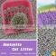 Best Clean And Cheap 12l Eco-friendly Oem or Odm Cat Litter