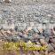 10%AL-Zn PVC coated gabion box