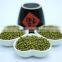 Chinese Green Mung Beans