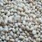 Japanese white kidney beans for sale