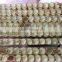 Hot sale 100% natural honey bee royal jelly from Chinese