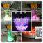 China Manufactuer hot sale Wine Promotion led bottle light LED ice bucket multicolor with 30pcs SMD LED