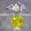 Small MOQ Crystal Soil hydrogel water beads