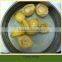 Canned Abalone Canned Seafood Products