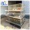 BETTER BRAND supply BT-H-120 broiler chicken cage for Kenya poultry farm