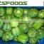 Frozen Sweet Pepper Green/Yellow/Red for sale