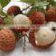 Chinese Fresh Lichee With Competitive Price