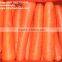 2016 fresh red carrot organic high quality HACCP Gap Kosher Size S M L 2L 3L