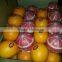 Fresh Valancia Orange from egypt with best price