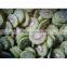IQF Kiwi Slices