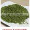 USDA Certification Green Tea Flavor