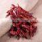 Elongated Red Chili Pepper Chili Wholesale