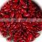 JSX cooking red speckled kidney bean small grain food grade red bean powder