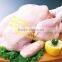 chicken feather scaling& plucking machine/ chicken plucker