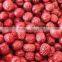 Hot selling Industrial Chinese date dehydrator