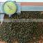 africa nigeria floating fish feed production line 500-800kg/hour
