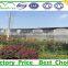 Hot sale plastic tunnel greenhouse