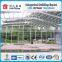 made in china layer egg chicken slaughter house