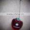resin memo clip