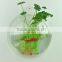 Fishbowl -Clear Glass Vase Fish Tank Ball Bowl+feet/ Succulents Planter Terrarium