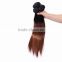 2016 NEW product Malaysian remy human hair silky straight hair weft 2 tone color ombre hair 1B/30
