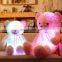 Wholesale Four Colors 30cm,50cm,80cm Teddy Bear Stuffed Plush Shining LED Light Up Lighting electronic Soft Toys