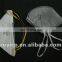 activated carbon filter dust mask with FFP standard