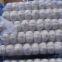 Organic Garlic New Crop Wholesale Garlic Price Cheap Price Fresh Garlic