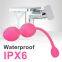 Remote Vibrator Love Egg Clitoris Stimulator Kegel Balls for Tightening Vaginial Tightener Silicone Exerciser Bladder Control Devices for Women