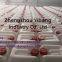 Vinyl Acetate Monomer Factory Supply VAM Safe Delivery 108-05-4