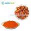 100% Natural Food Colorant Pigment Gardenia Yellow Colour Powder