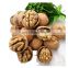 Chocolates roasted walnut in shell and kernel  for Peru India Vietnam USA France Philippines Nepal Morocco Bangladesh Canada