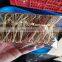 Disposable Bulk Knotted Skewer Barbecue Fruit Bamboo Sticks for Sale Tools